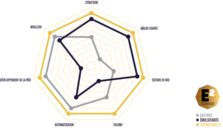 Diagram E2-technologie website- FR.png