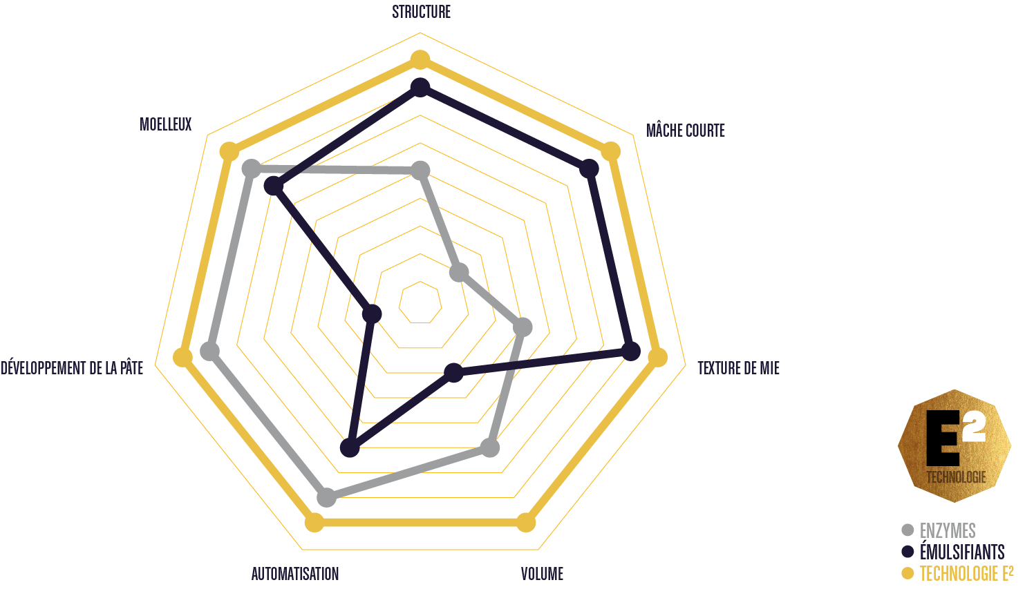 Diagram E2-technologie website- FR.png