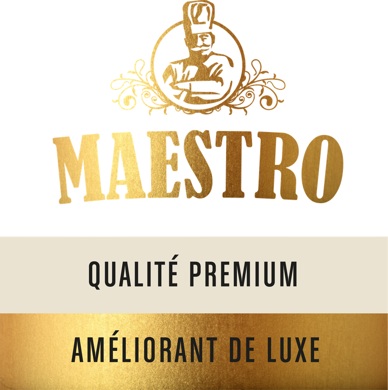 Logo Maestro Luxe FR.png